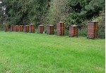 Steves apiary at Rivers Hall Farm