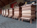Assembled caddon WBC hives
