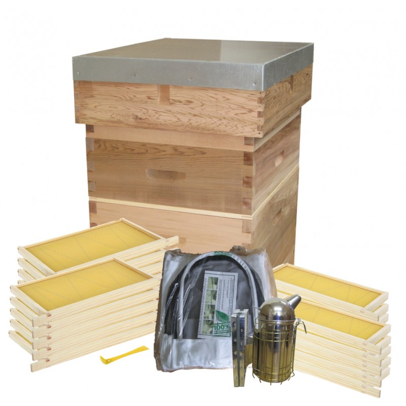 National Hive Starter kit