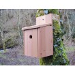 Bird Box, Cedar
