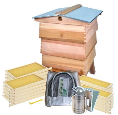 WBC Hive Starter kit