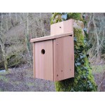 cedar bird box