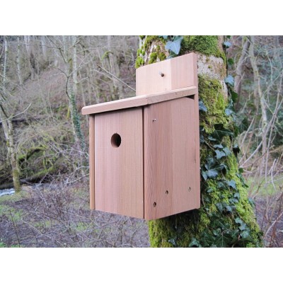 Bird Box, Cedar