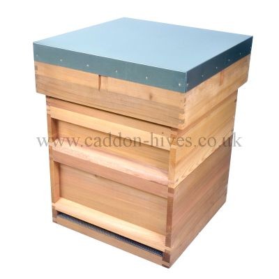 National Hive with JUMBO Brood (14x12) and flat roof