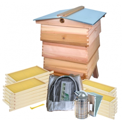 WBC Hive Starter kit